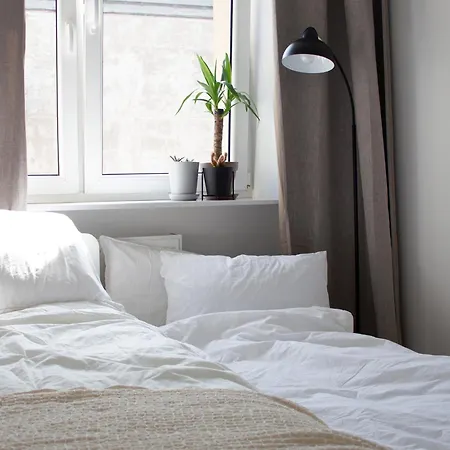 Vistula Nest Two Bedroom Near Kazimierz דירה קרקוב