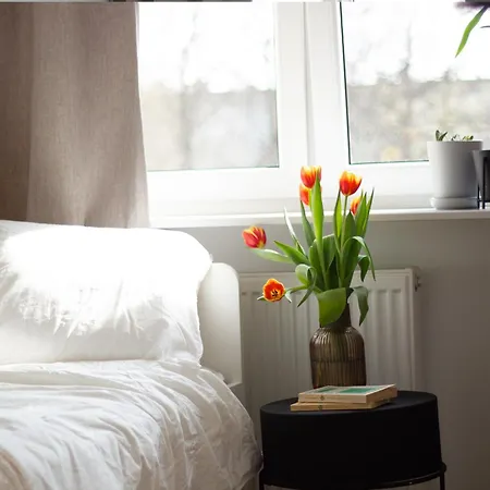 Vistula Nest Two Bedroom Near Kazimierz